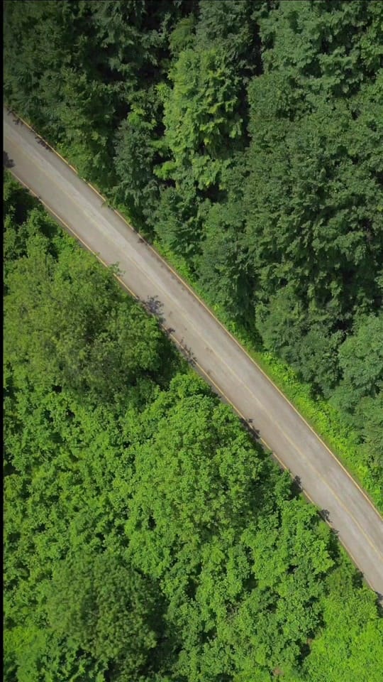 Post 5 by Saif Alshaali on TikTok (video)