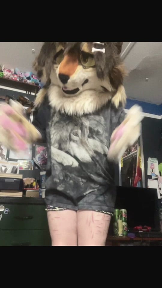 Post 8 by 🧟JACK/SCOTT🐾 on TikTok (video)