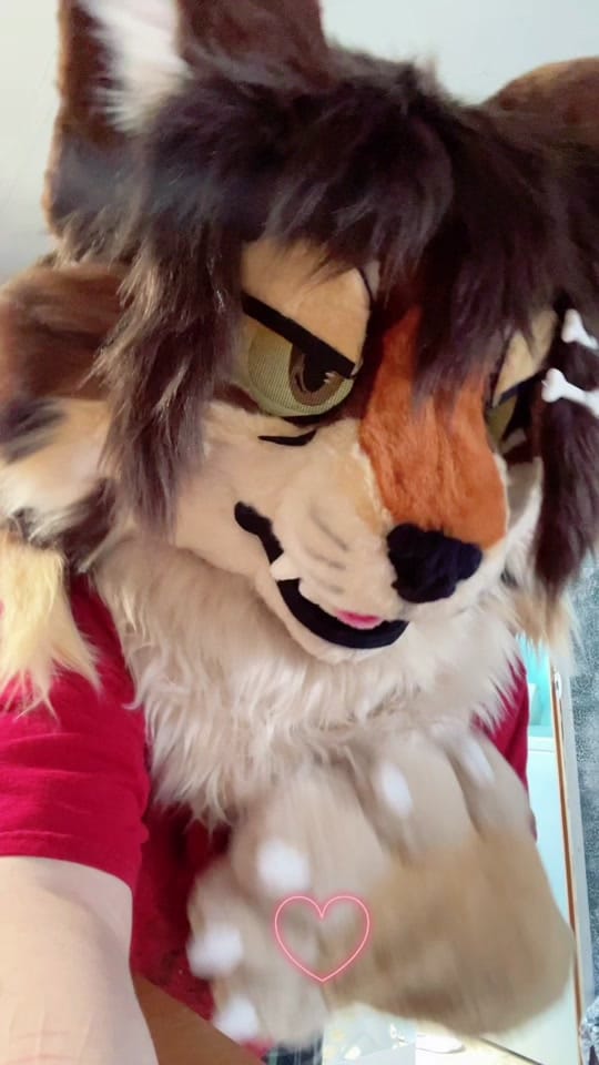 Post 5 by 🧟JACK/SCOTT🐾 on TikTok (video)