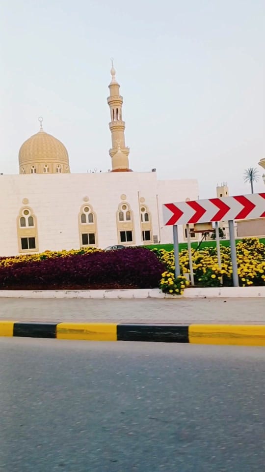Post 10 by 𝑵𝒊𝒛𝒂𝒎 𝑲𝒉𝑨𝒏💫🦅 on TikTok (video)