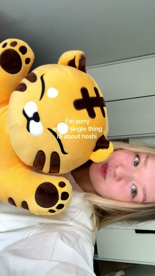 Post 3 by ㅎ♡ on TikTok (video)