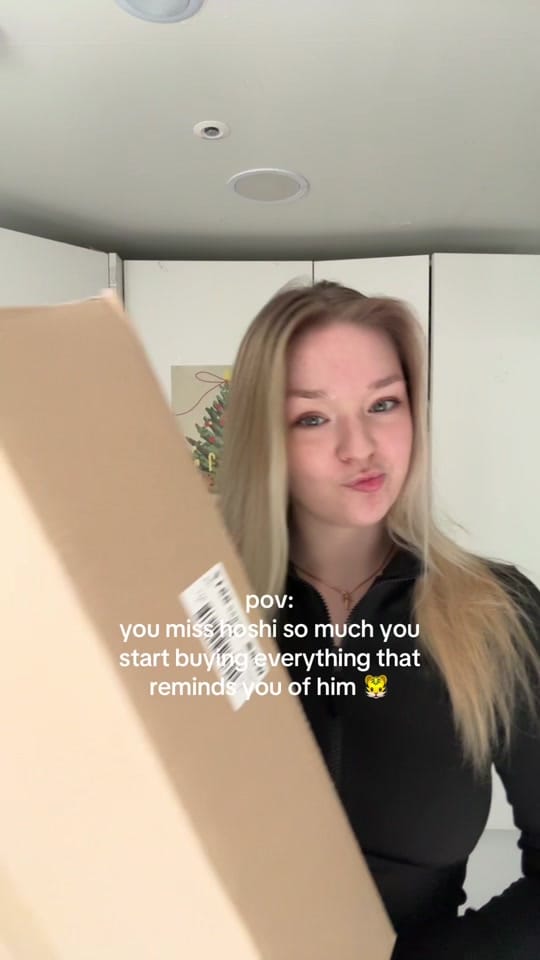 Post 4 by ㅎ♡ on TikTok (video)