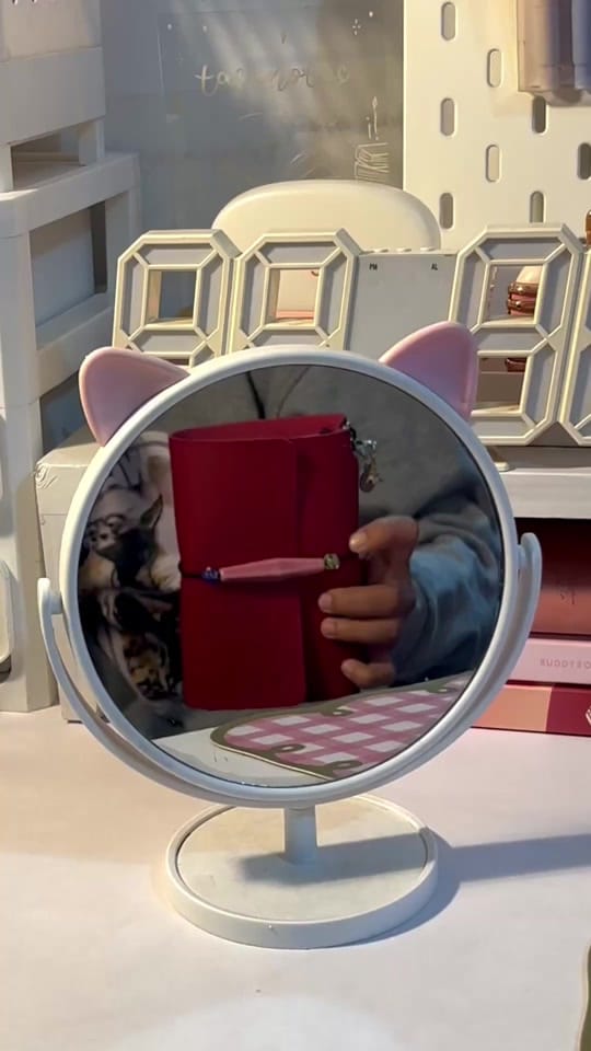 Post 3 by studywithtasa on TikTok (video)