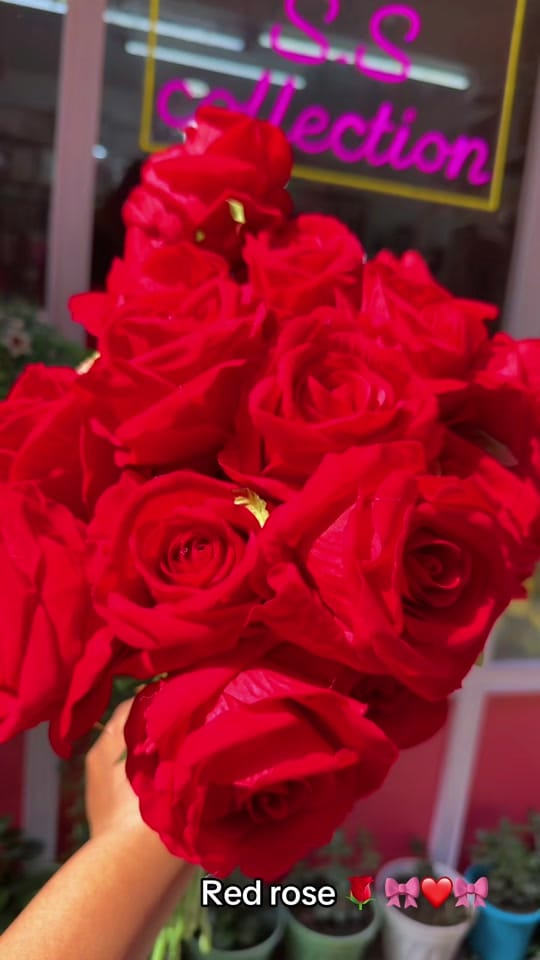 Post 3 by s.scollection_8 on TikTok (video)