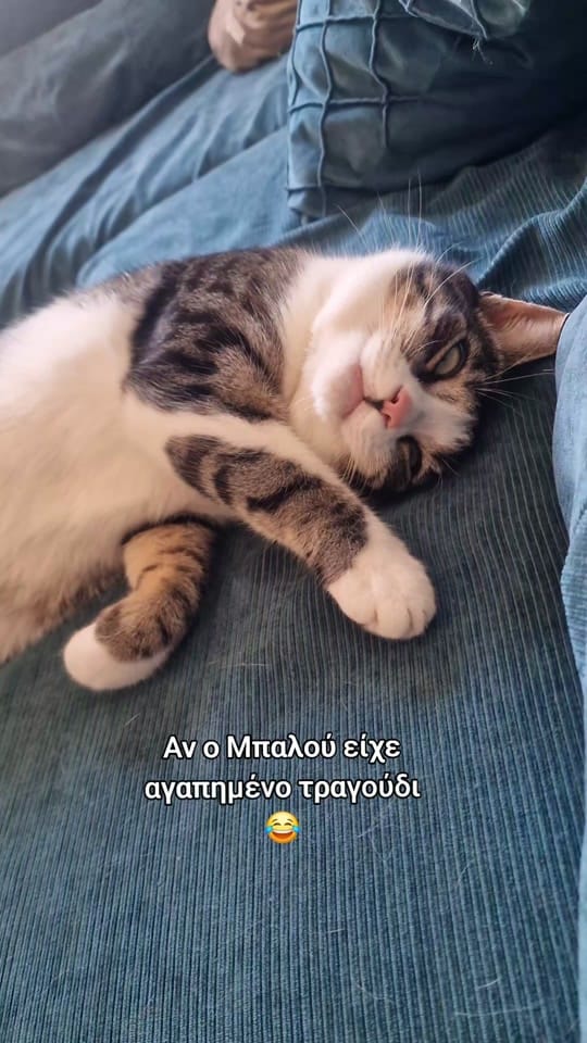 Post 3 by KoiloumbasFamily on TikTok (video)