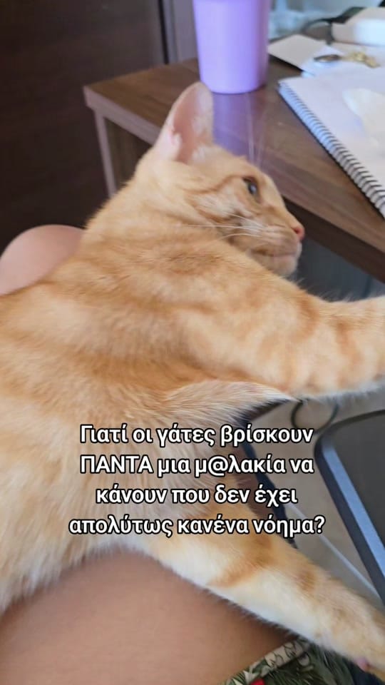 Post 5 by KoiloumbasFamily on TikTok (video)