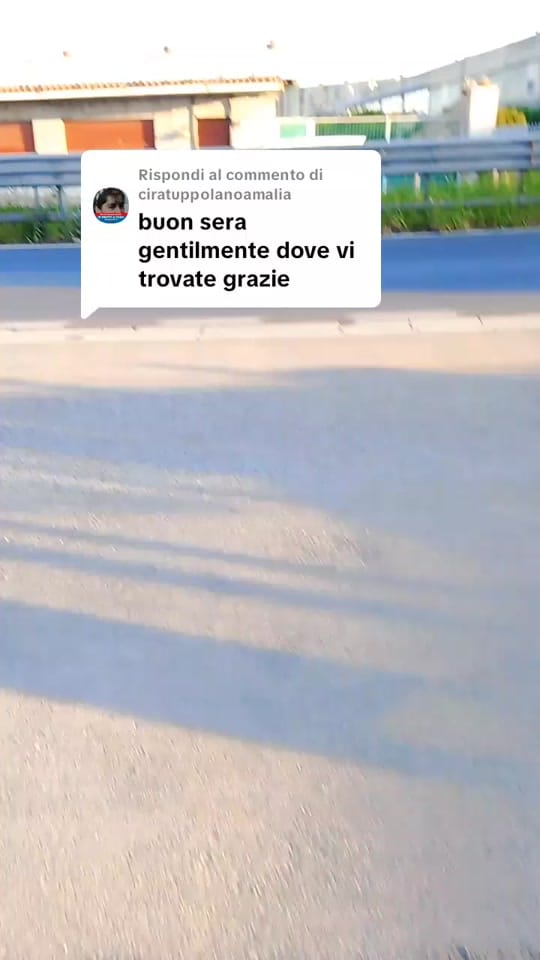 Post 4 by Rosario on TikTok (video)