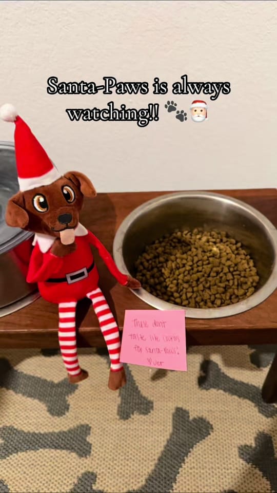 Post 4 by Samantha Sabo on TikTok (video)