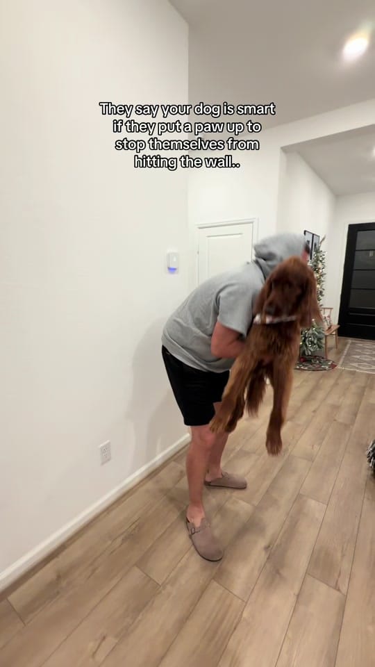 Post 3 by Samantha Sabo on TikTok (video)