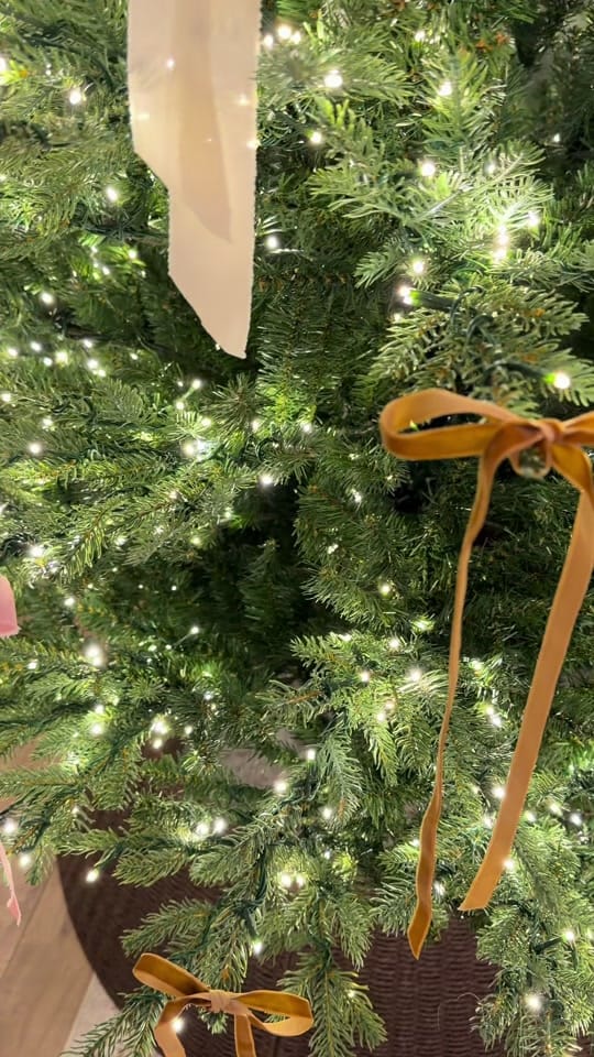 Post 8 by Samantha Sabo on TikTok (video)