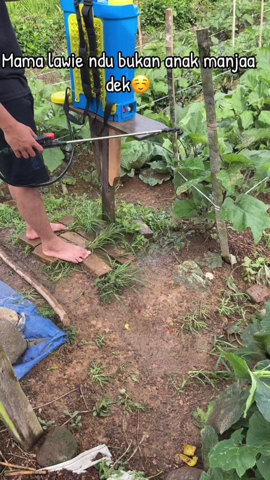 Post 3 by ROY366 on TikTok (video)