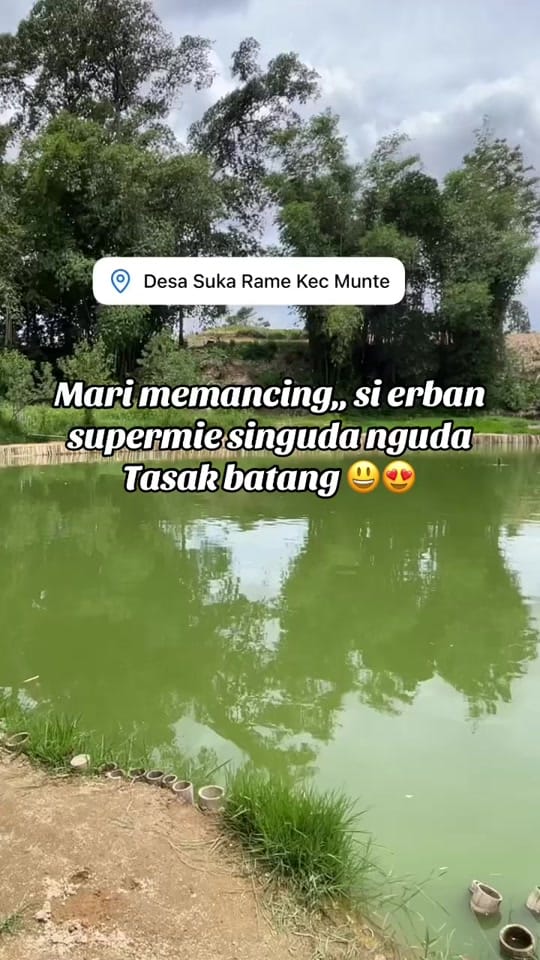 Post 8 by ROY366 on TikTok (video)