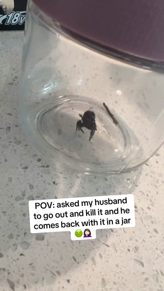 Post 1 by Ashley 🤍 on TikTok (video)