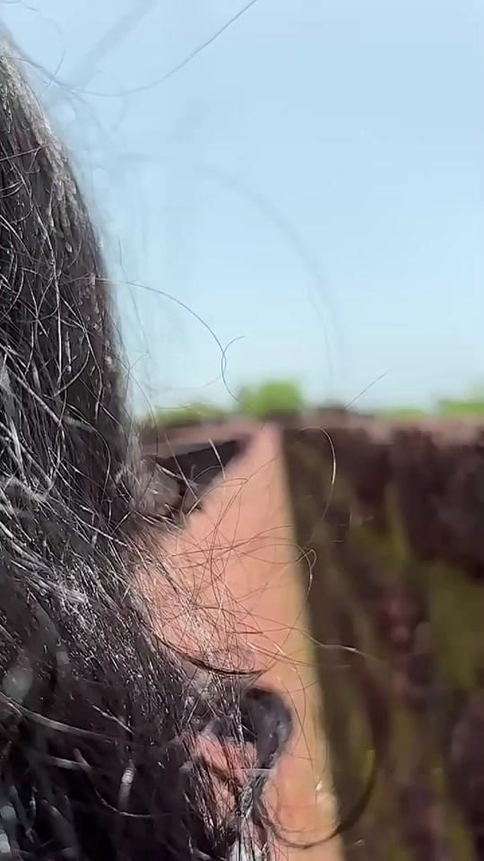 Post 2 by Sneha.dubai.properties on TikTok (video)