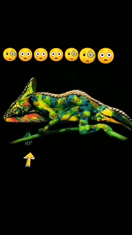 Post 3 by ANJEET PRASAD on TikTok (video)