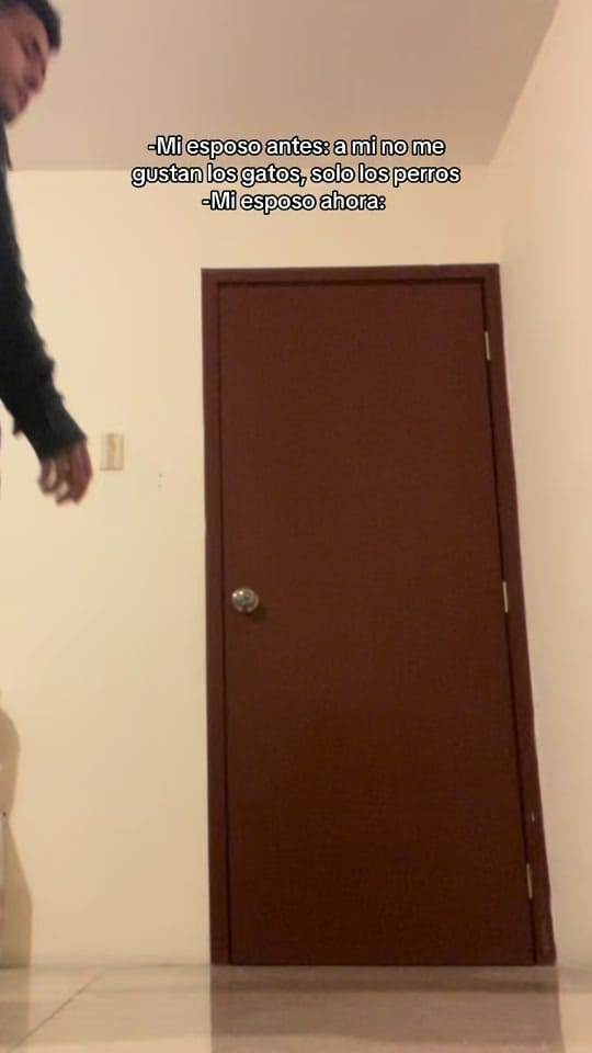 Post 3 by Romina Sanchez on TikTok (video)