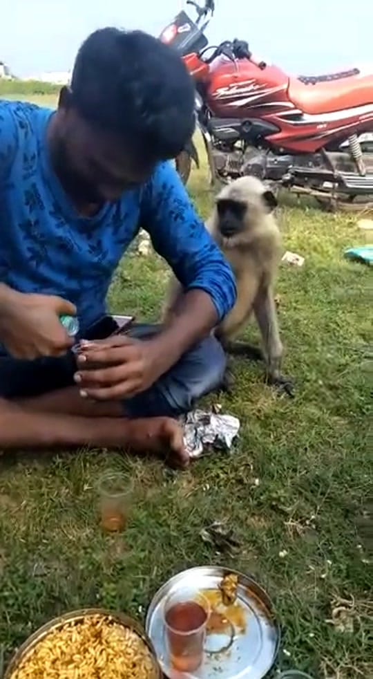 Post 8 by Azan khan on TikTok (video)