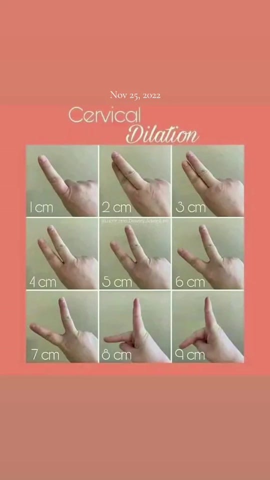 Post 9 by Nurse Rose 📚🩸🧠✍💊💉 on TikTok (video)