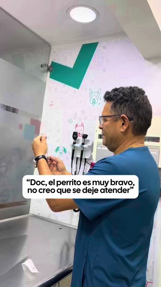 Post 1 by veterinaria santa isabel on TikTok (video)