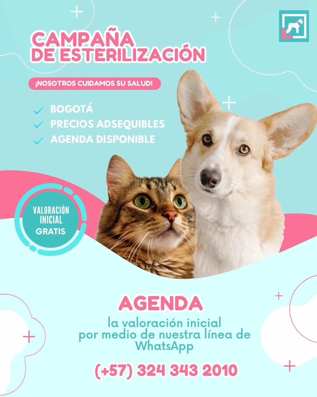 Post 2 by veterinaria santa isabel on TikTok (video)
