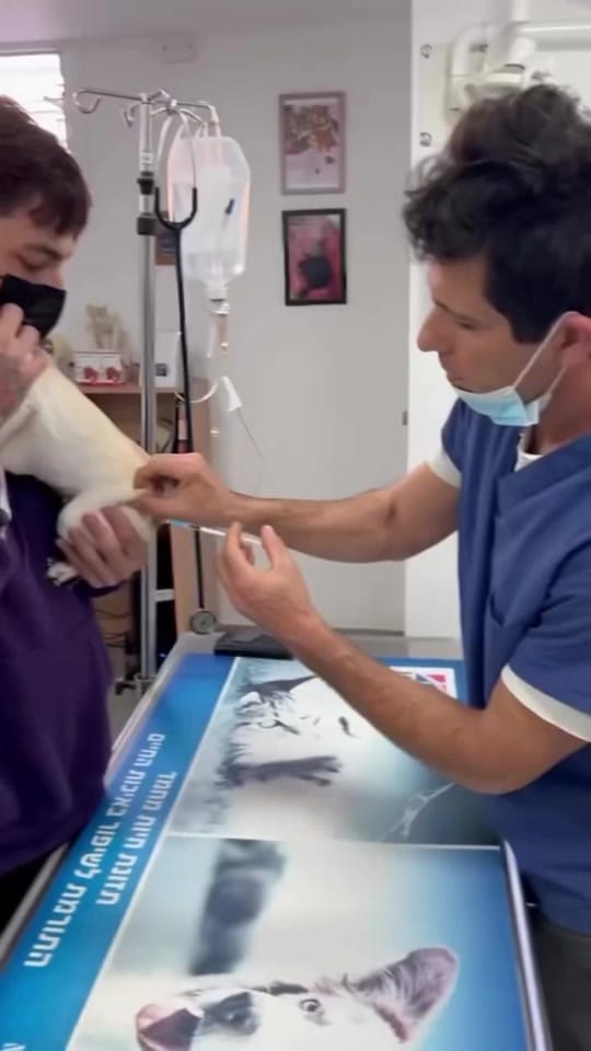 Post 10 by veterinaria santa isabel on TikTok (video)