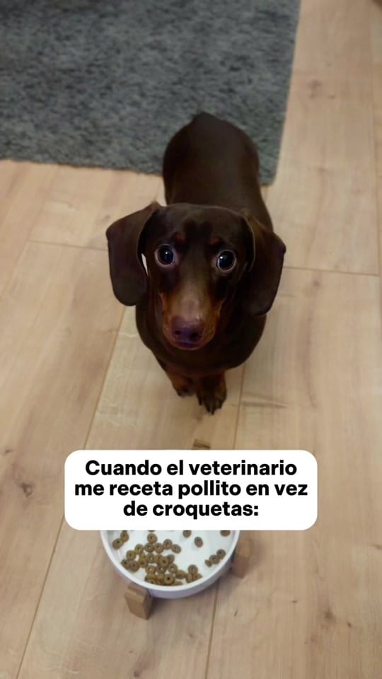 Post 6 by veterinaria santa isabel on TikTok (video)