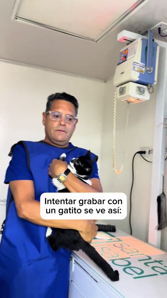 Post 7 by veterinaria santa isabel on TikTok (video)