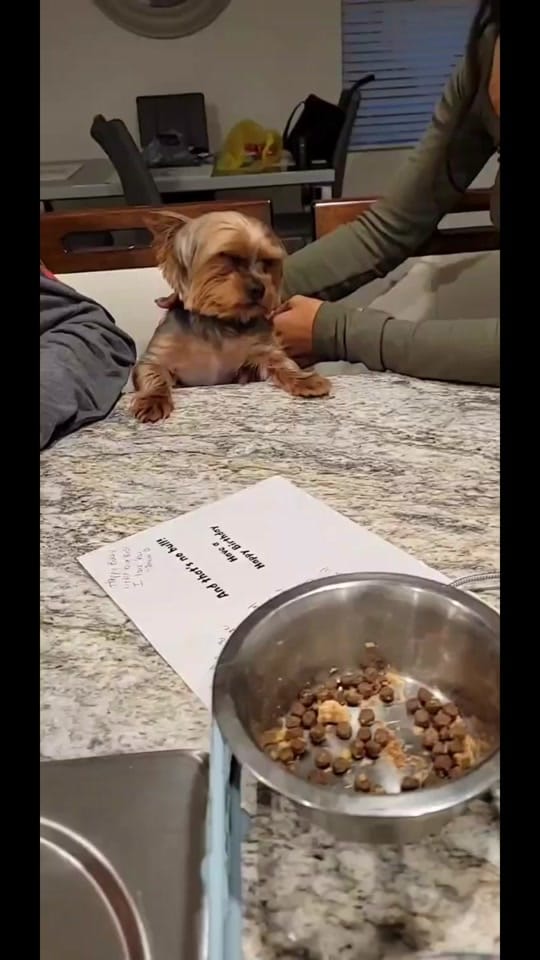 Post 10 by Ella Bonita 🇵🇷 on TikTok (video)