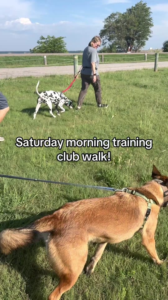 Post 6 by DeathcoreDogDude on TikTok (video)