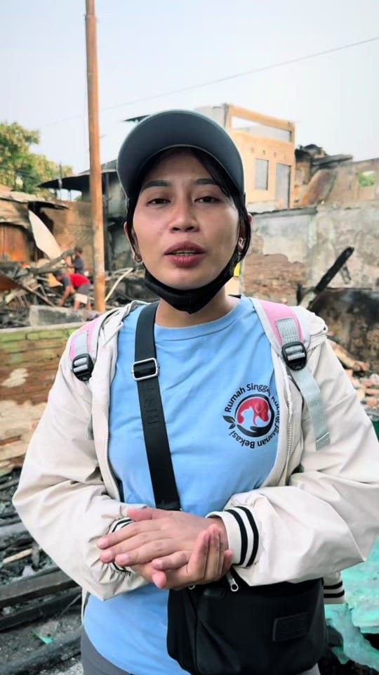 Post 6 by Rumah Singgah Kucing Jalanan on TikTok (video)