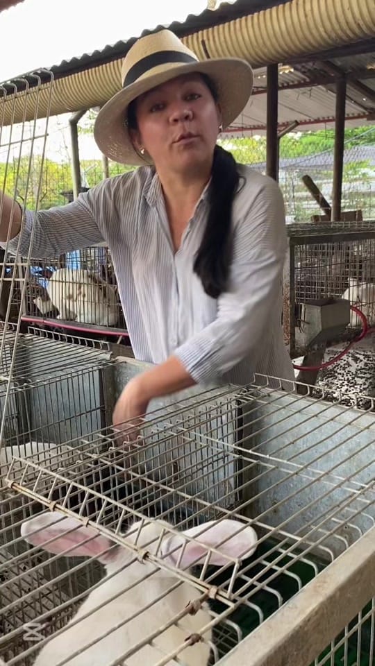 Post 8 by Villa Cabras on TikTok (video)