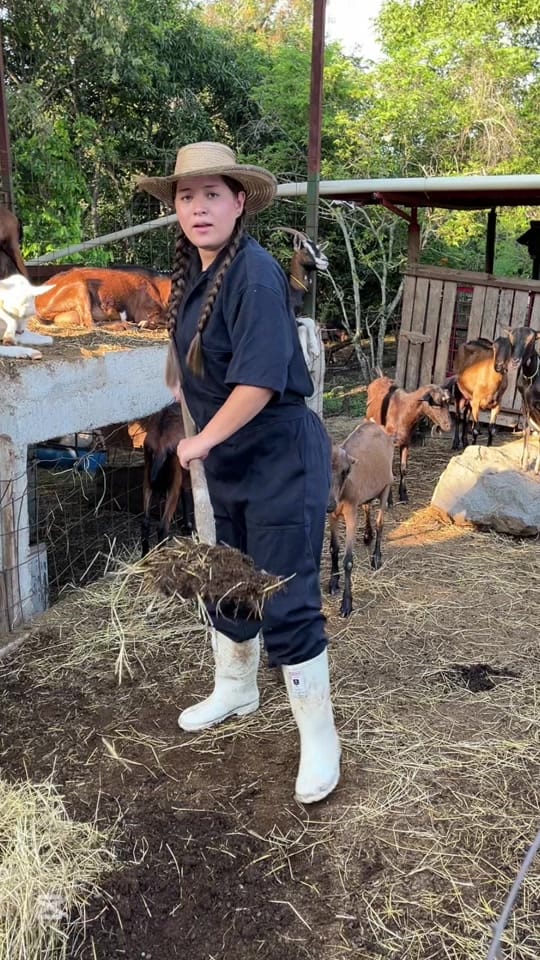 Post 9 by Villa Cabras on TikTok (video)