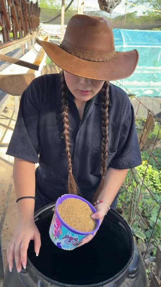 Post 1 by Villa Cabras on TikTok (video)