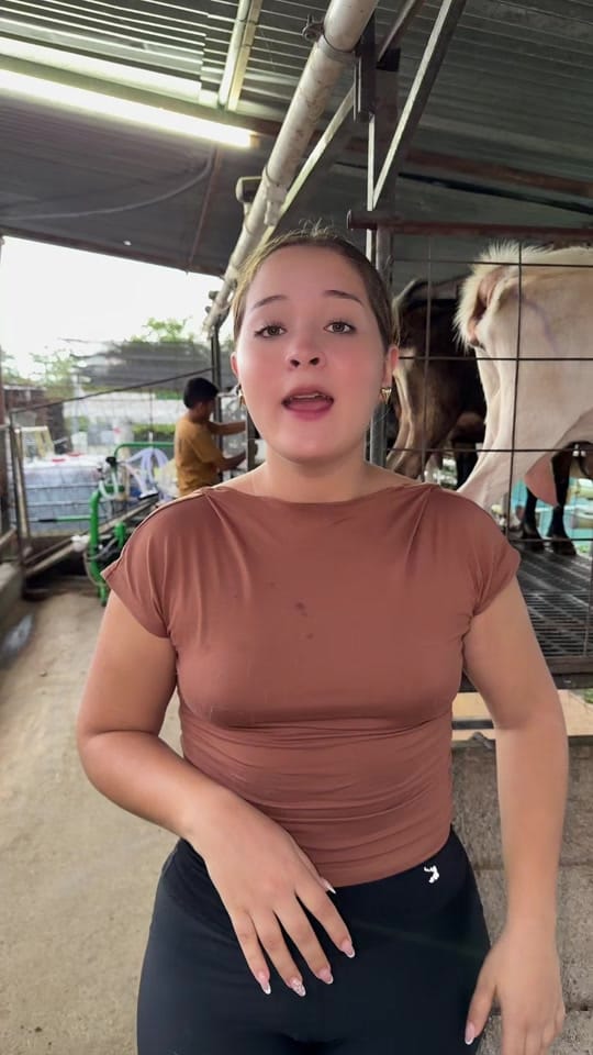 Post 3 by Villa Cabras on TikTok (video)