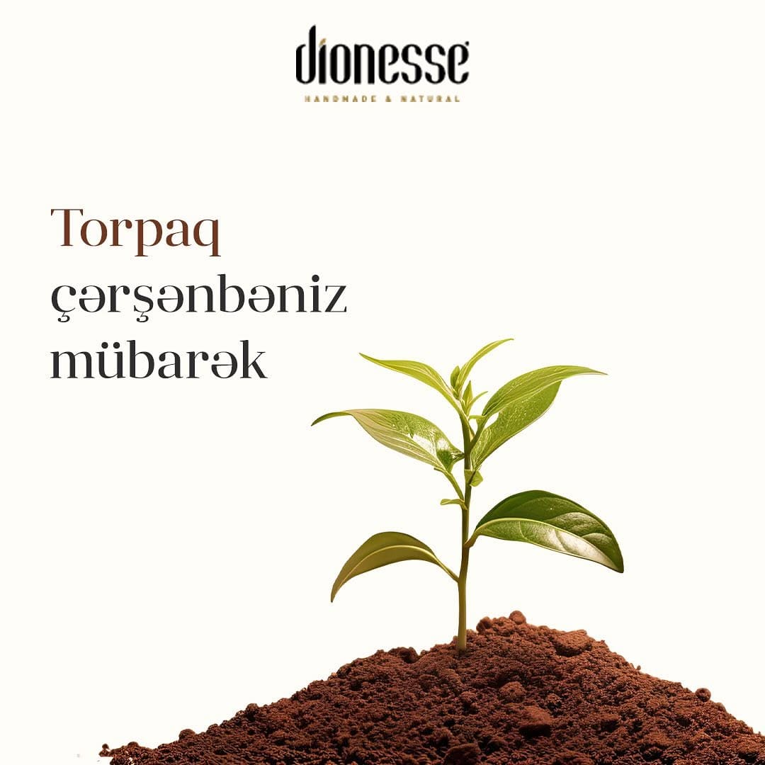 Post 2 by Dionesse Azerbaijan on Instagram (image)