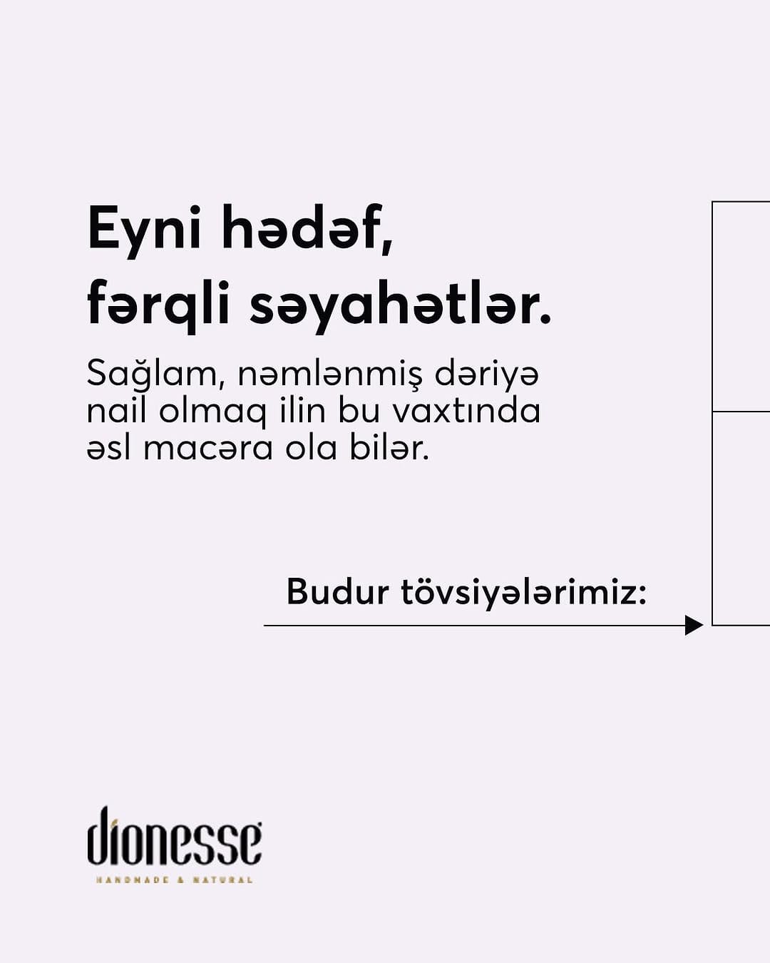 Post 9 by Dionesse Azerbaijan on Instagram (image)