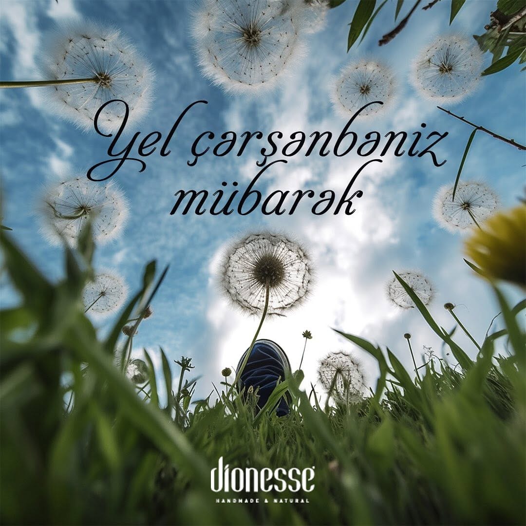 Post 4 by Dionesse Azerbaijan on Instagram (image)