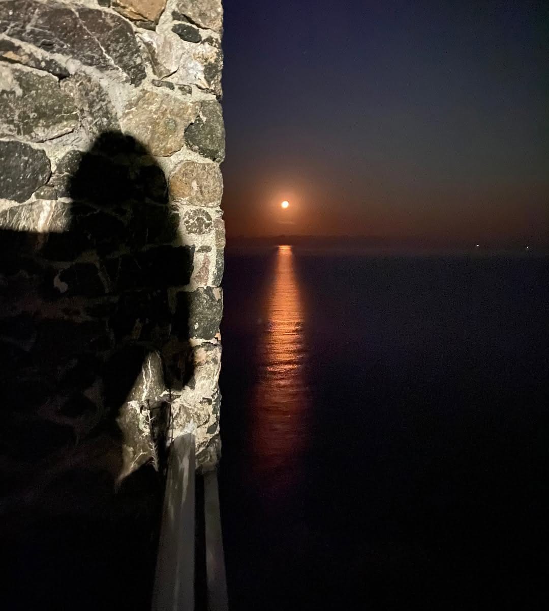 Post 1 by Elena Poggio on Instagram (image)