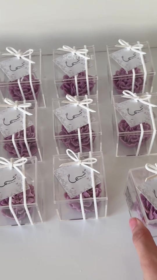 Post 7 by scntd.ae on TikTok (video)