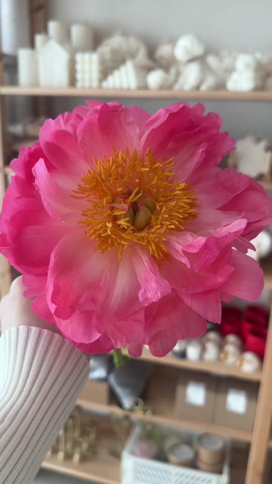 Post 6 by Joyful candles on TikTok (video)