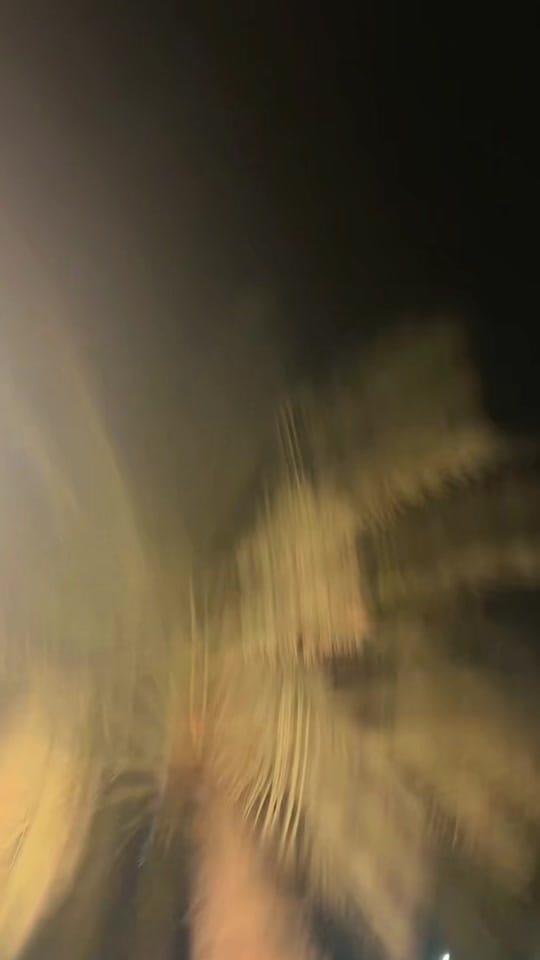 Post 4 by Badshah on TikTok (video)