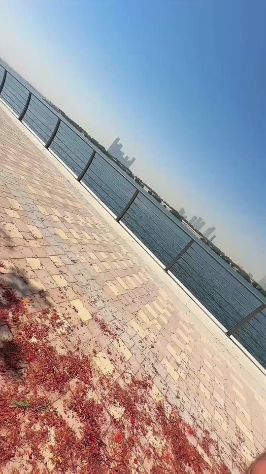 Post 9 by Noufal Manjeri.Official on TikTok (video)