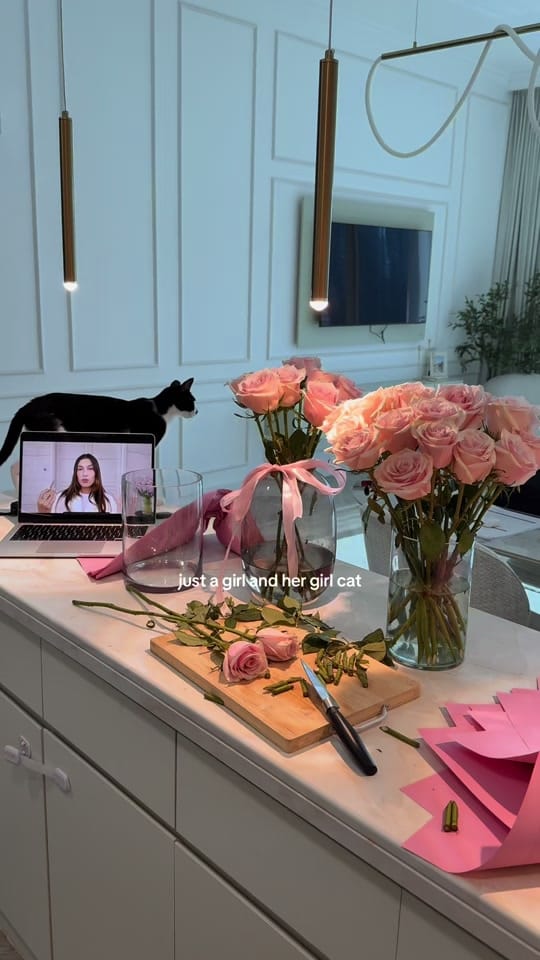 Post 1 by dominika on TikTok (video)