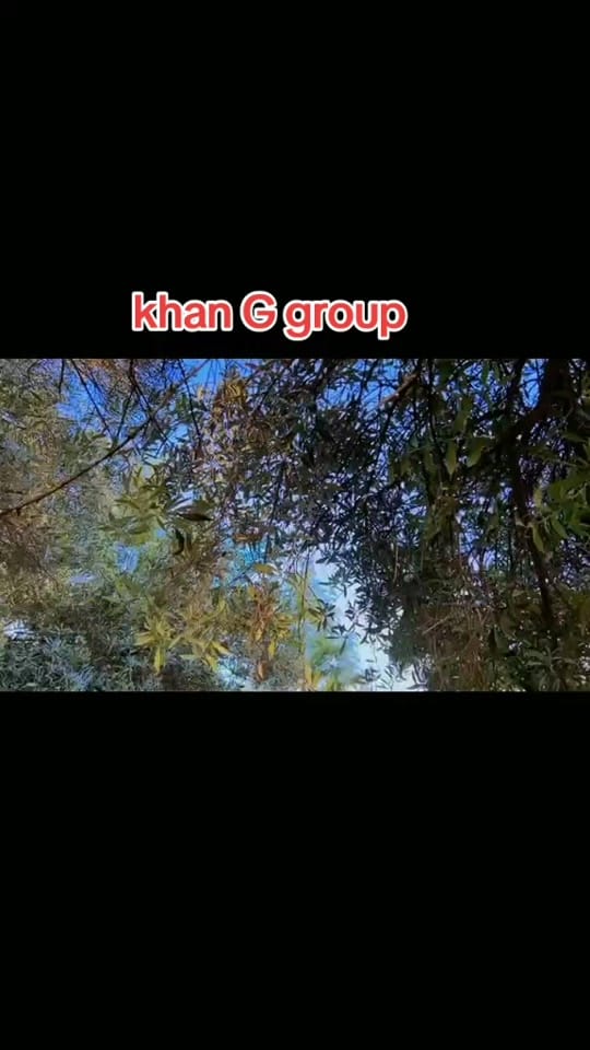 Post 6 by KHAN G🔥🔥 on TikTok (video)