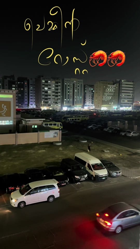 Post 3 by Razeena Surumi on TikTok (video)