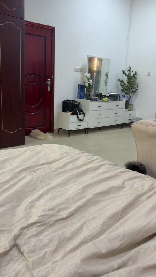 Post 6 by Buhay sa Dubai on TikTok (video)
