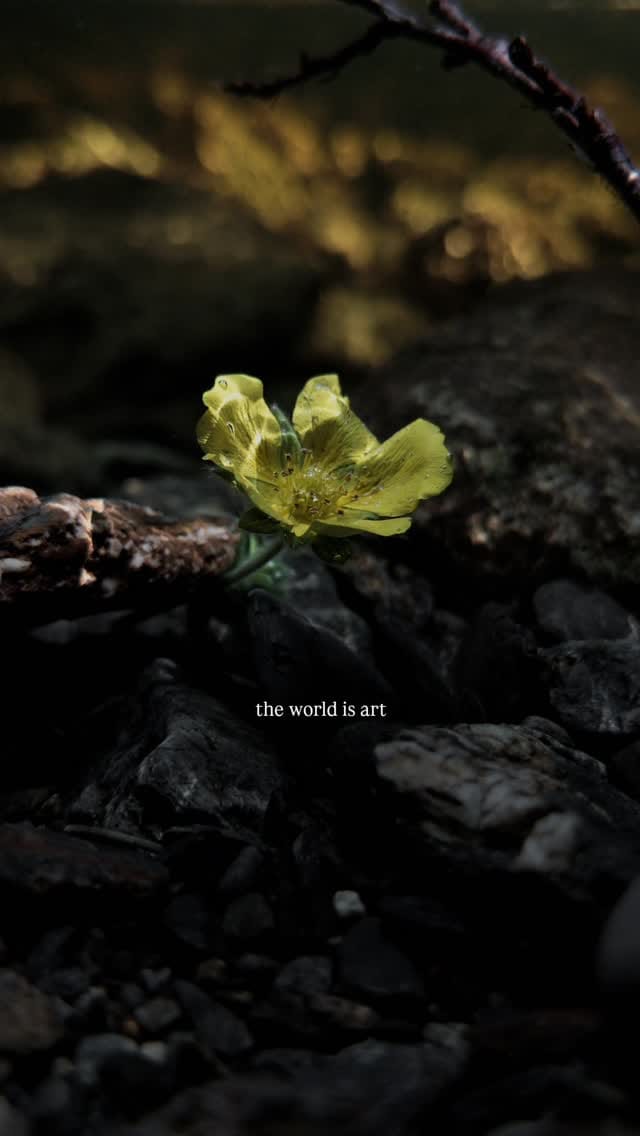 Post 3 by Johan David Buran on Instagram (video)
