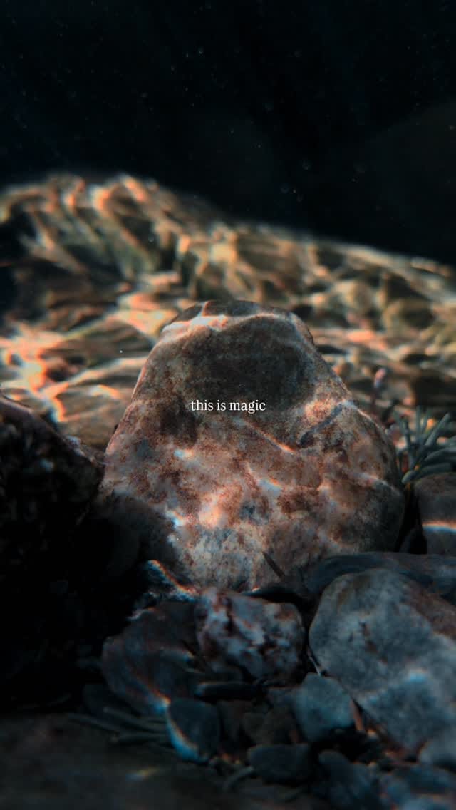 Post 6 by Johan David Buran on Instagram (video)