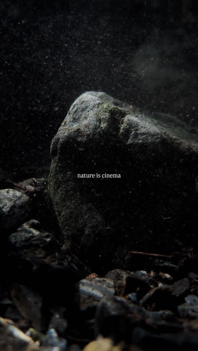Post 9 by Johan David Buran on Instagram (video)
