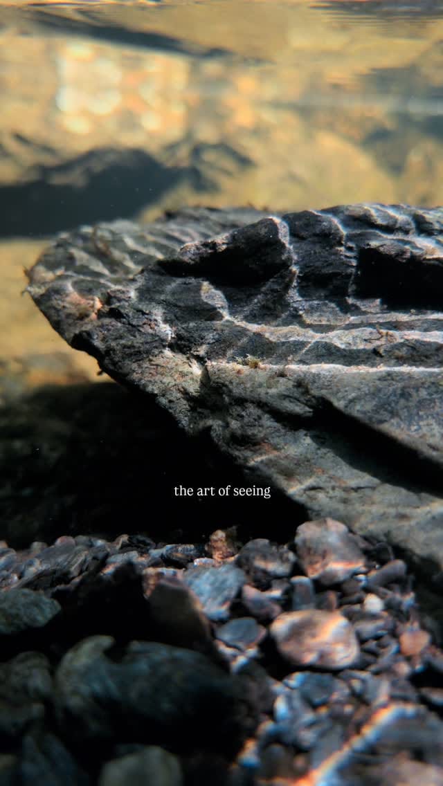 Post 2 by Johan David Buran on Instagram (video)